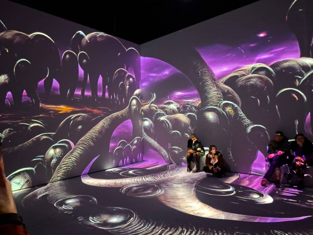 Cosa vedere a Bruges: guida completa alla perla delle Fiandre che ti ruba il cuore 103 Dalí Cybernetics Bruges