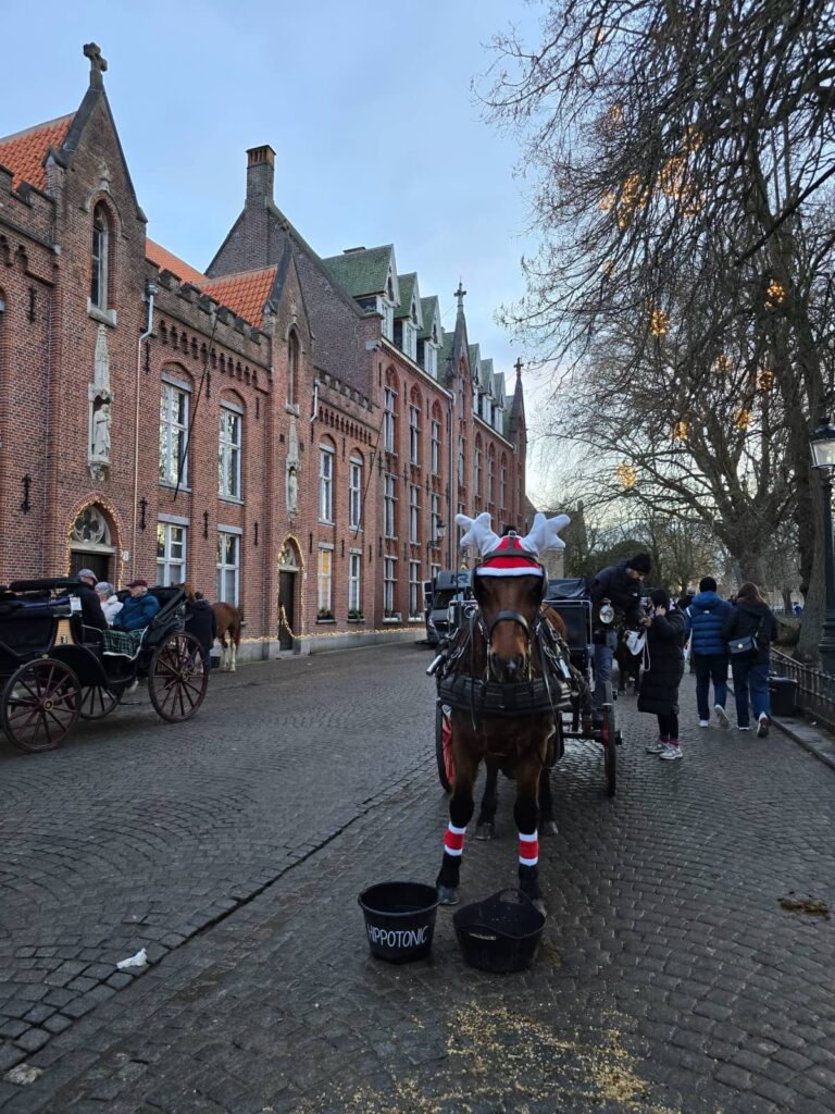 Cosa vedere a Bruges: guida completa alla perla delle Fiandre che ti ruba il cuore 125 Wijngaardplein