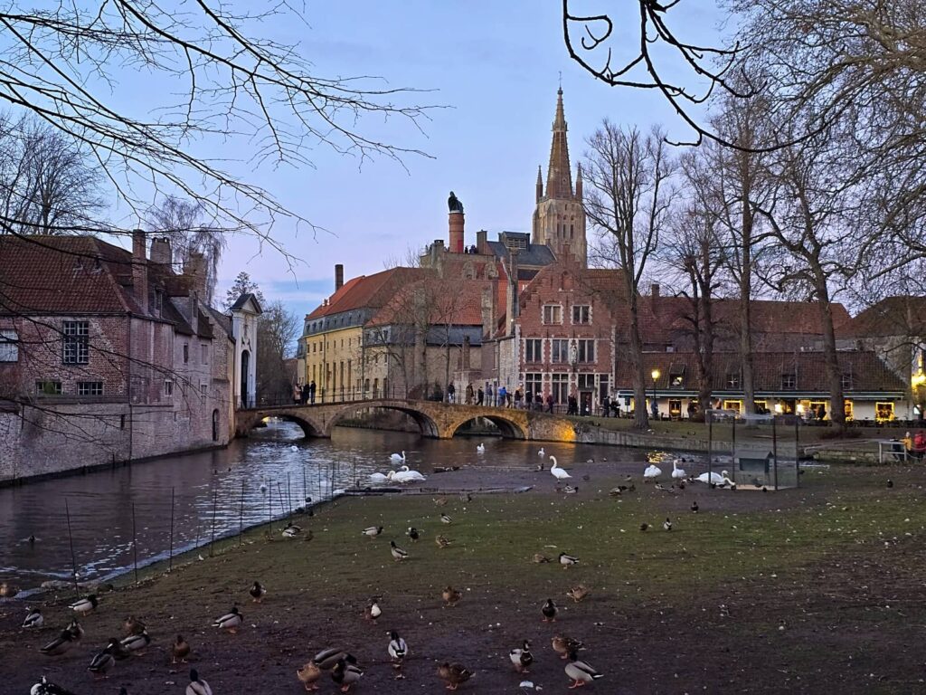 Cosa vedere a Bruges: guida completa alla perla delle Fiandre che ti ruba il cuore 124 Wijngaardplein, lago dell'amore