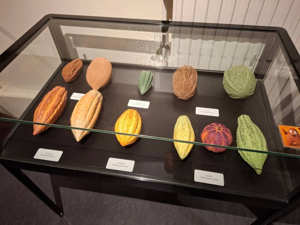 Cosa vedere a Bruges: guida completa alla perla delle Fiandre che ti ruba il cuore 174 Choco-Story: il Museo del Cioccolato bruges