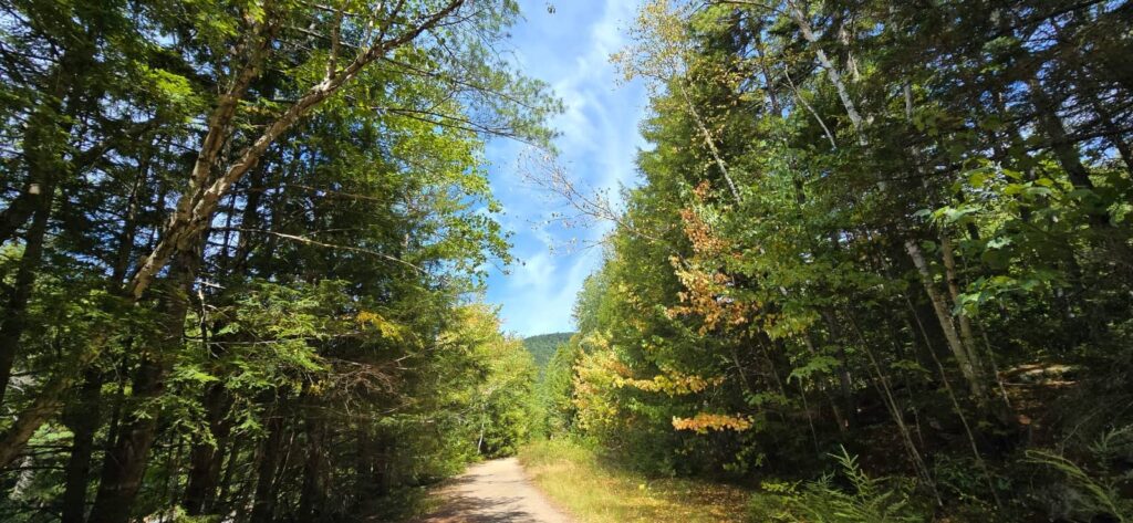 foliage Kancamagus Highway e white mountains
