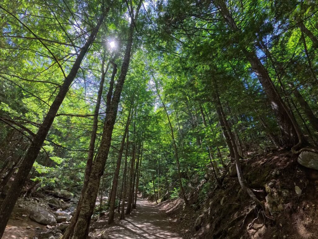 Kancamagus Highway, White Mountains NH