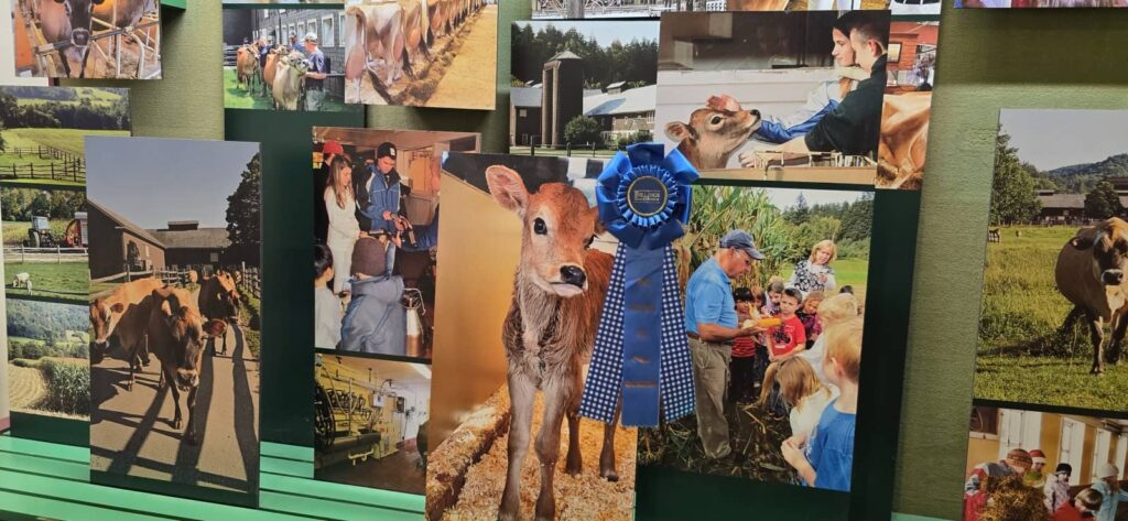 Billings Farm & Museum a Woodstock: visita alla fattoria storica del Vermont 25 la storia delle fattoria Billings Farm a woodstock vermont