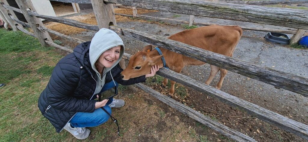 Cosa vedere a Woodstock Vermont: guida al villaggio più bello del New England 25 Billings Farm e Museum