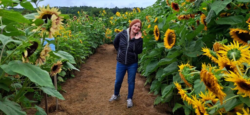 Cosa vedere a Woodstock Vermont: guida al villaggio più bello del New England 31 Sunflower House, billing farm