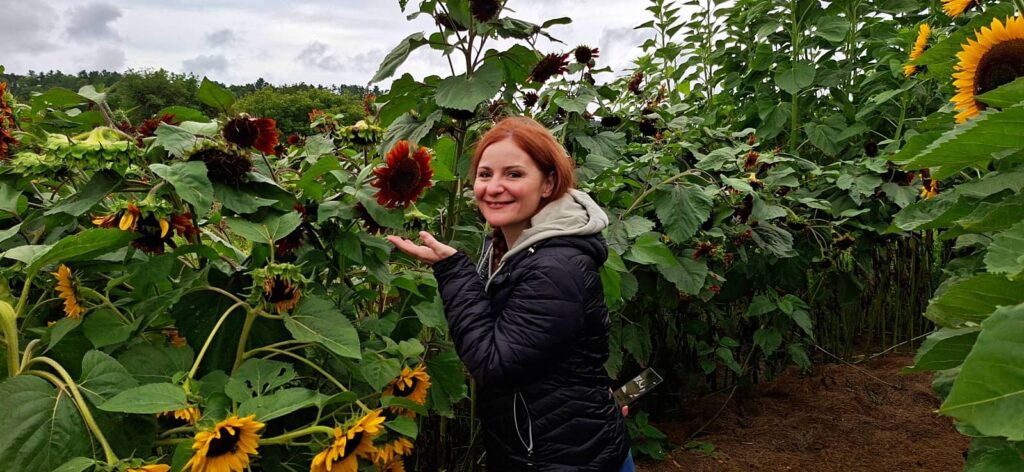 Billings Farm & Museum a Woodstock: visita alla fattoria storica del Vermont 38 Sunflower House, billings farm
