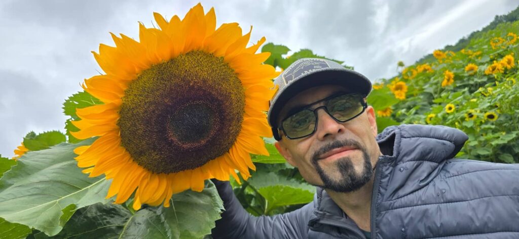 Billings Farm & Museum a Woodstock: visita alla fattoria storica del Vermont 62 billings farm e sunflowers house