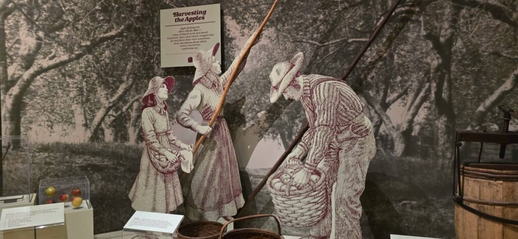 Billings Farm & Museum a Woodstock: visita alla fattoria storica del Vermont 20 billings farm & museum: lo sciroppo d'acero