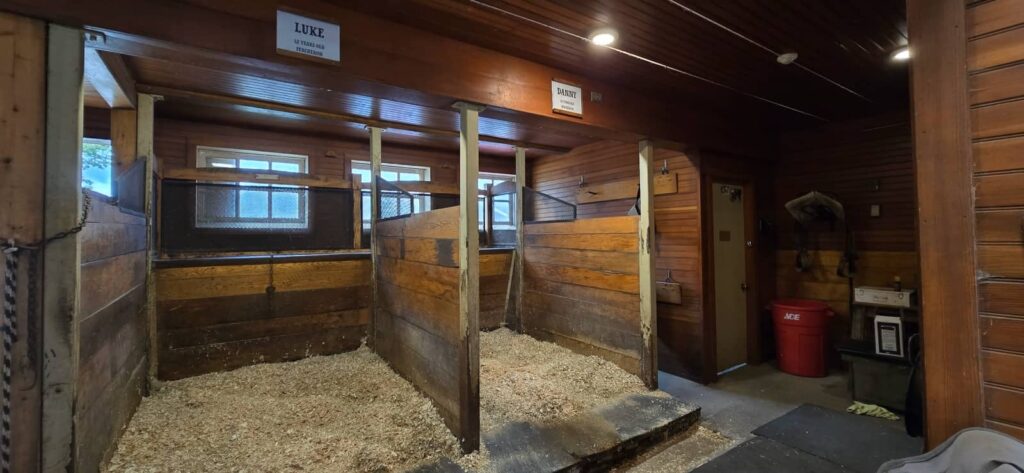 Billings Farm & Museum a Woodstock: visita alla fattoria storica del Vermont 43 gli animali di billings farm