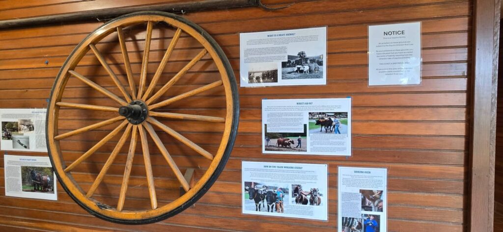Billings Farm & Museum a Woodstock: visita alla fattoria storica del Vermont 44 storia e animali di billings farm