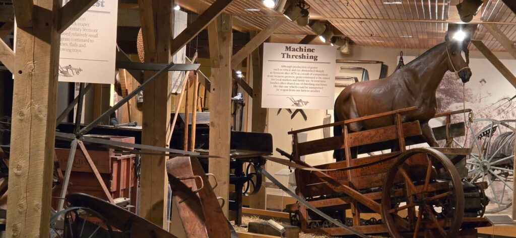 Billings Farm & Museum a Woodstock: visita alla fattoria storica del Vermont 47 billings farm & museum: i cavalli da tiro