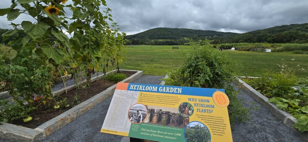 Billings Farm & Museum a Woodstock: visita alla fattoria storica del Vermont 29 i giardini di billings farm