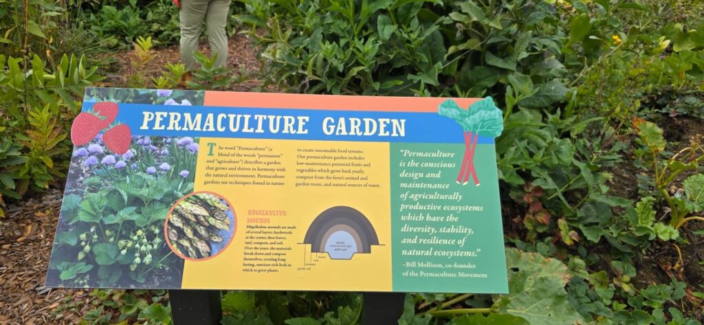Billings Farm & Museum a Woodstock: visita alla fattoria storica del Vermont 31 i giardini di billings farm