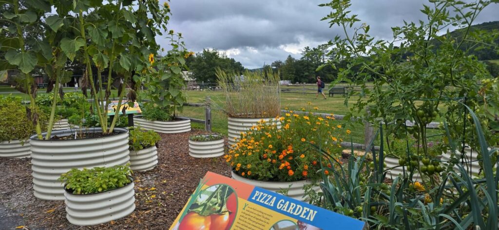 Billings Farm & Museum a Woodstock: visita alla fattoria storica del Vermont 33 i giardini di billings farm