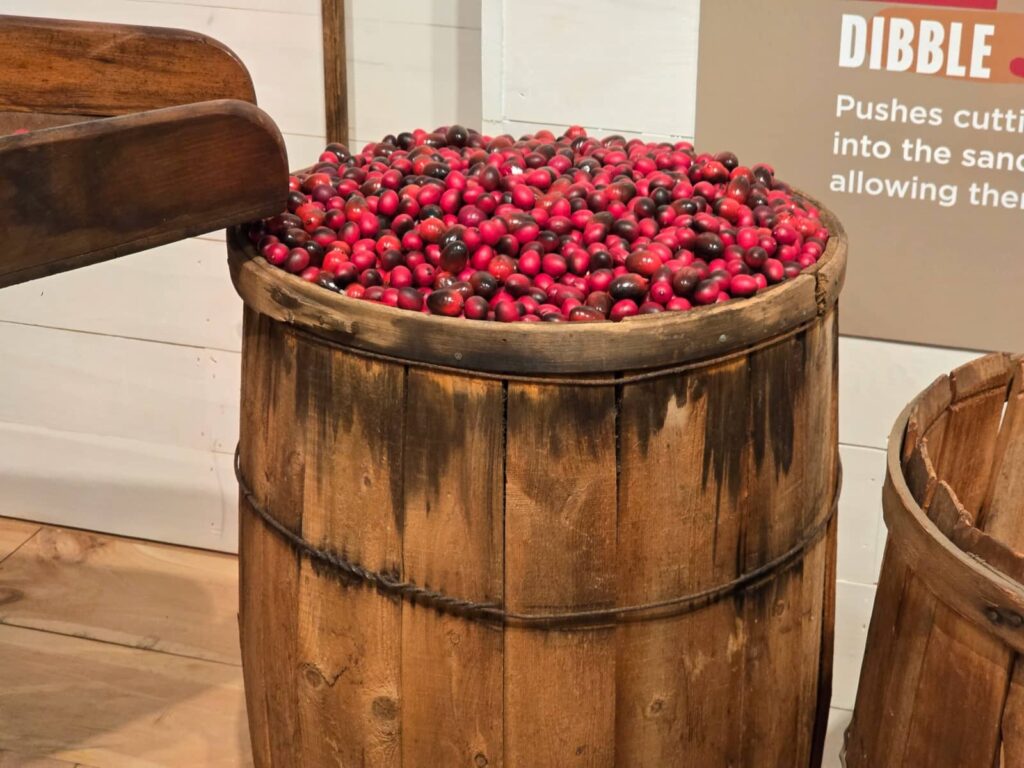From Cape Cod to American Icon, heritage museum and gardens