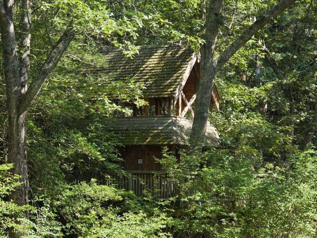 Hidden Hollow, tree house, heritage museum cape cod