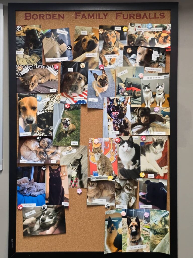 lizzie borden e il suo amore per gli animali