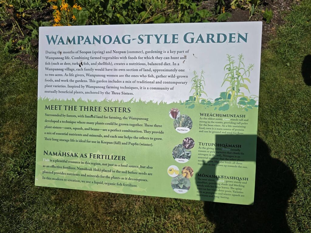 Wampanoag Stories, heritage museum and gardens a sandwich